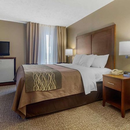 Comfort Inn بريستول المظهر الخارجي الصورة
