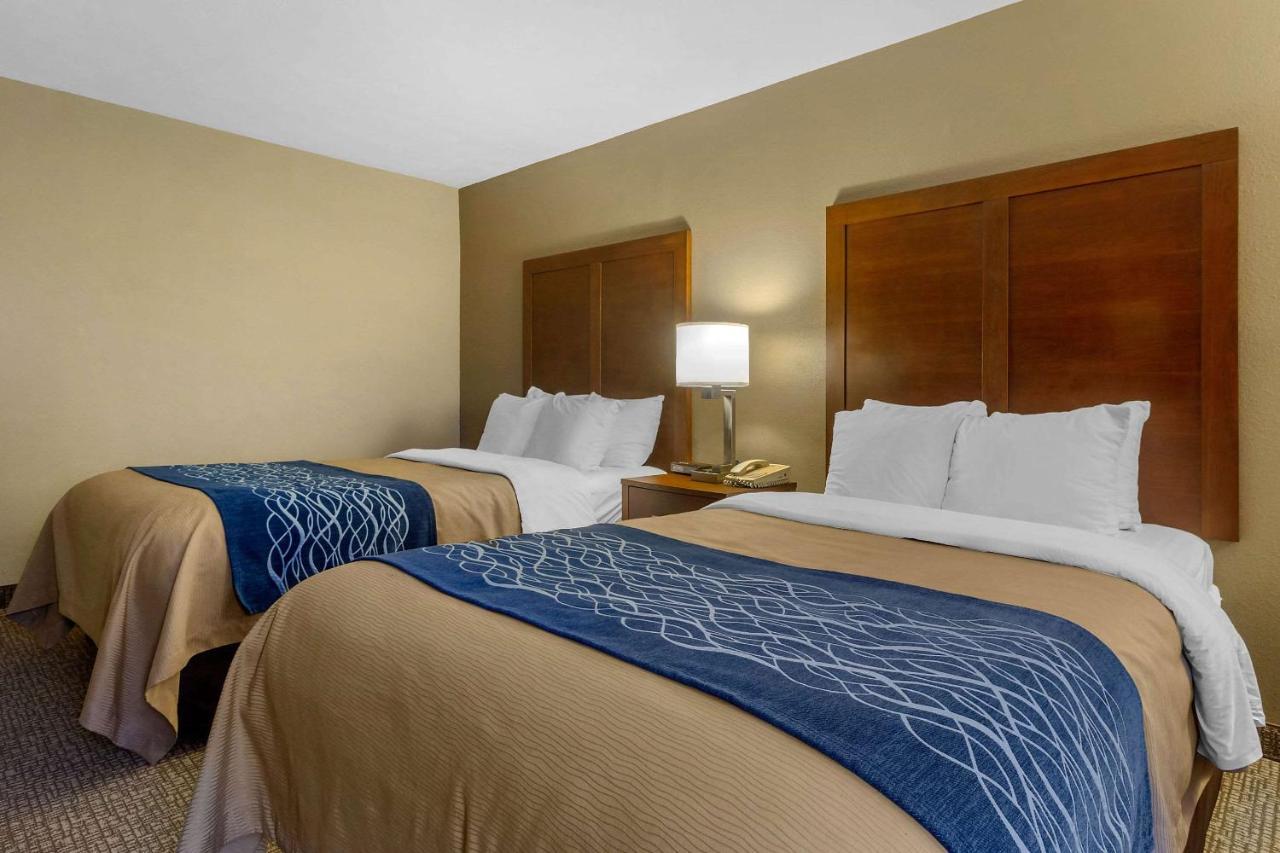Comfort Inn بريستول المظهر الخارجي الصورة