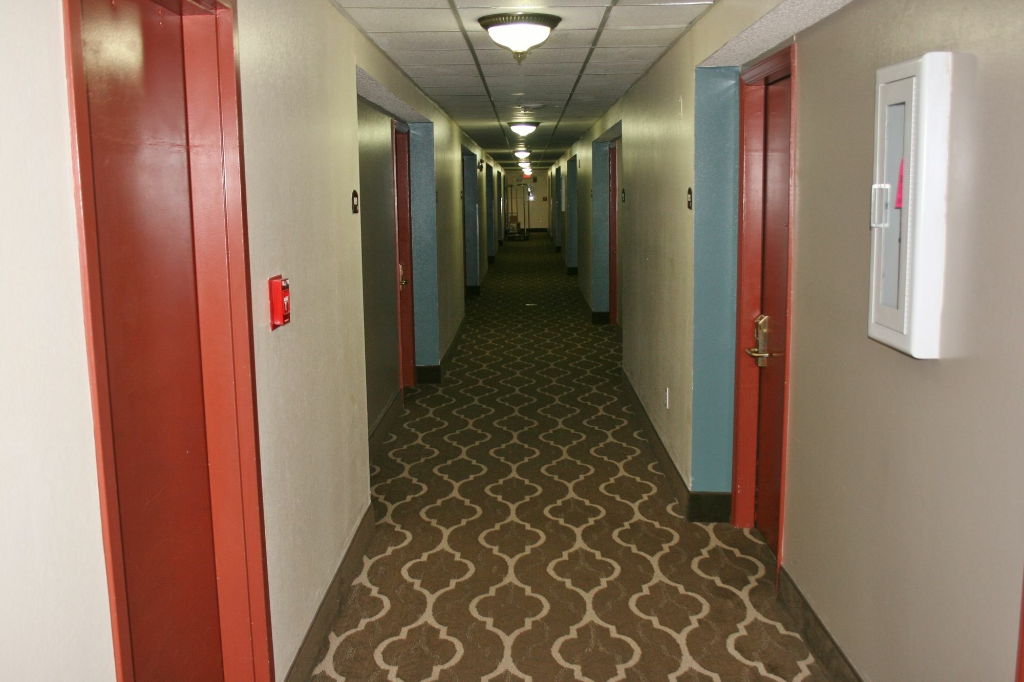 Comfort Inn بريستول المظهر الخارجي الصورة